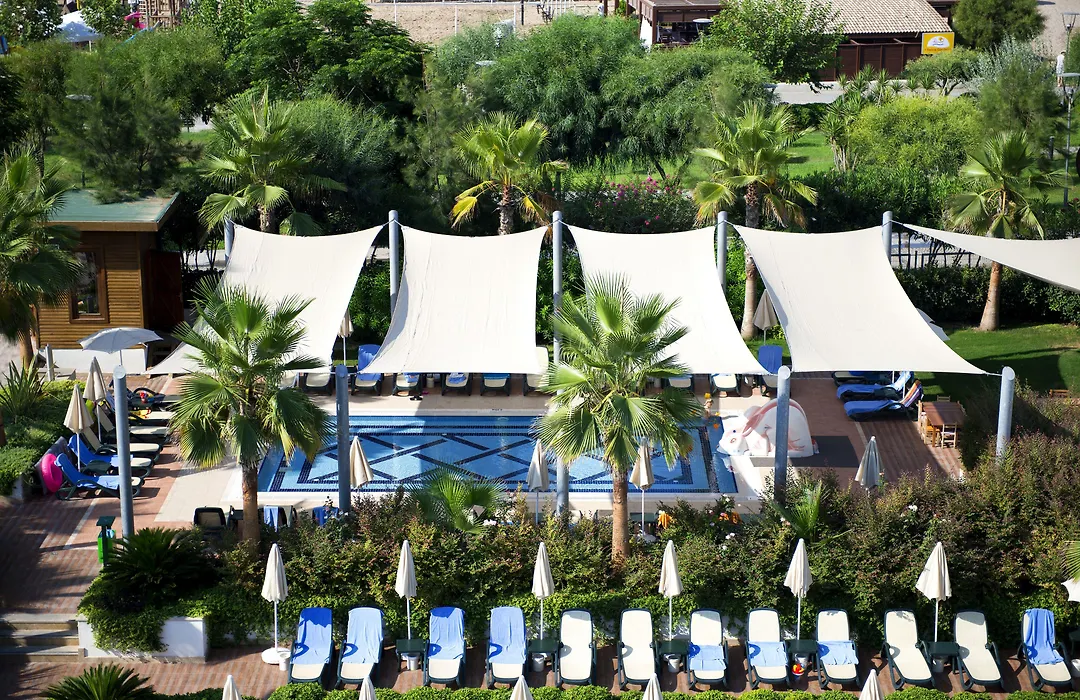 Trendy Verbena Beach-1