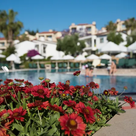 Arum Barut Collection-3